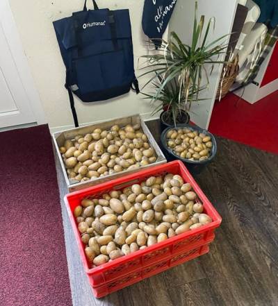 Versprochen ist versprochen: 50 kg Kartoffeln geliefert